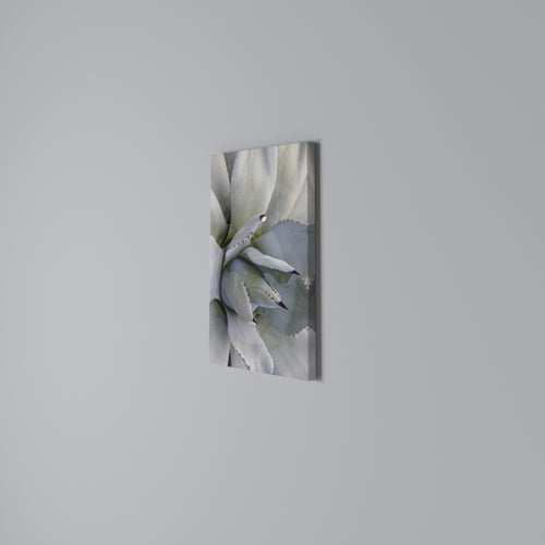 AGAVE ELEGANCE Cuadro en lienzo vertical