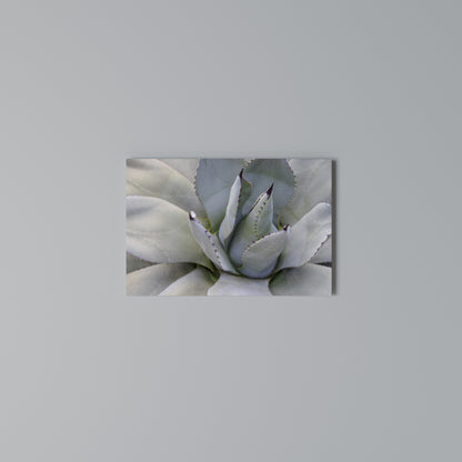 AGAVE ELEGANCE Cuadro en lienzo horizontal