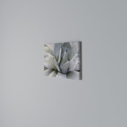 AGAVE ELEGANCE Cuadro en lienzo horizontal