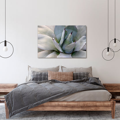 AGAVE ELEGANCE Cuadro en lienzo horizontal