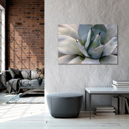 AGAVE ELEGANCE Cuadro en lienzo horizontal