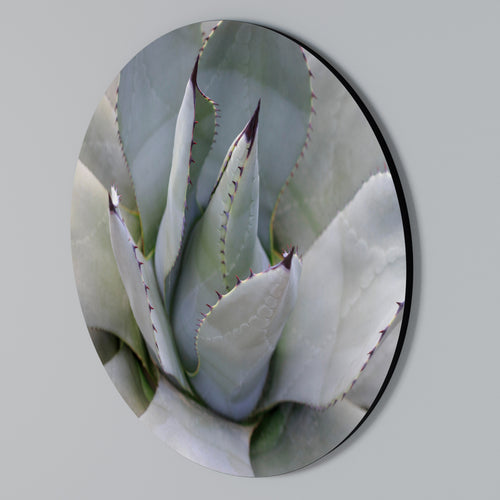 AGAVE ELEGANCE Arte de pared redondo