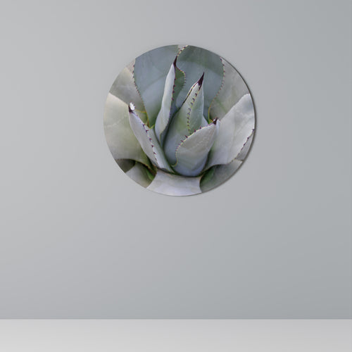 AGAVE ELEGANCE Round Wall Art
