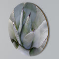 AGAVE ELEGANCE Arte de pared redondo