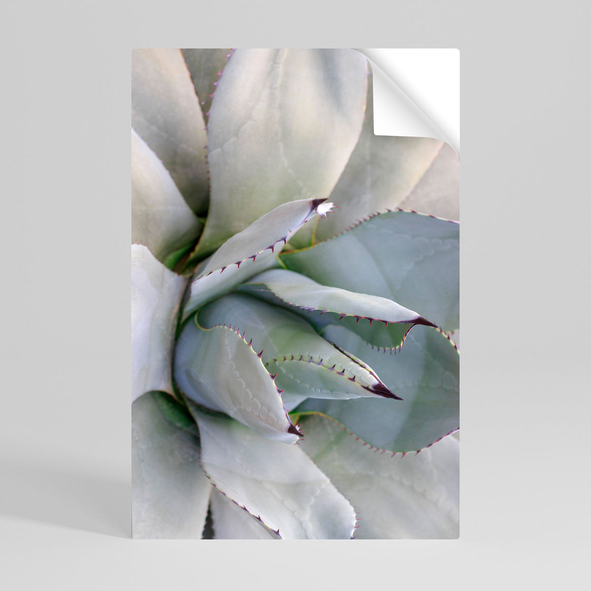 AGAVE ELEGANCE Póster adhesivo vertical