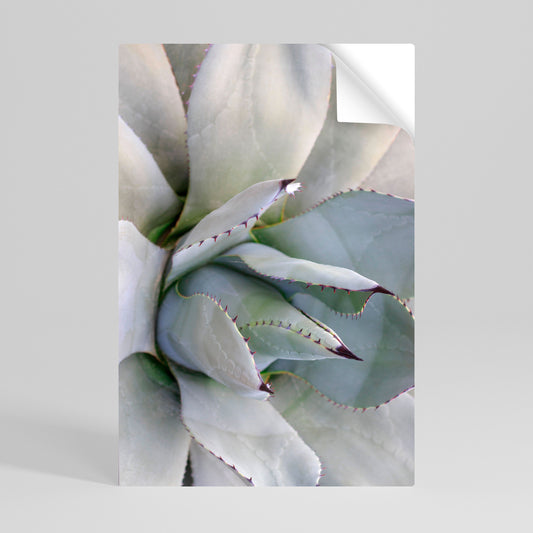 AGAVE ELEGANCE Póster adhesivo vertical