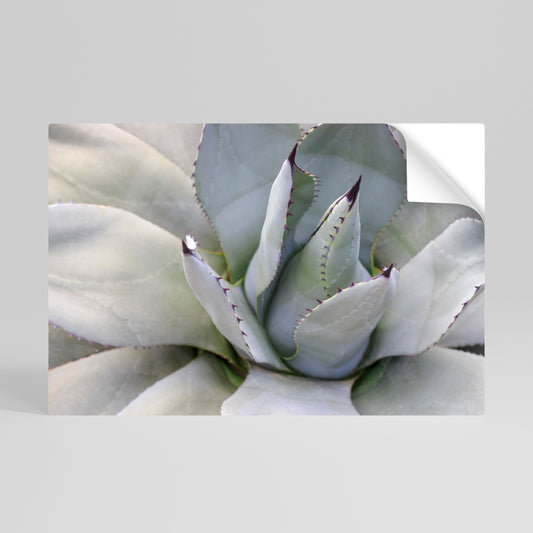 AGAVE ELEGANCE Póster adhesivo horizontal