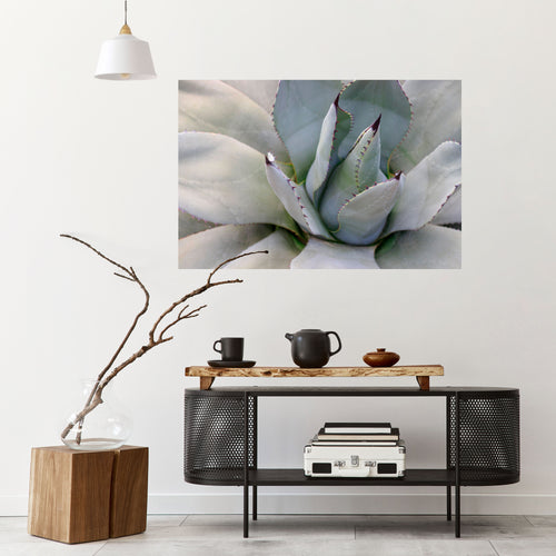AGAVE ELEGANCE Póster Horizontal Adhesivo