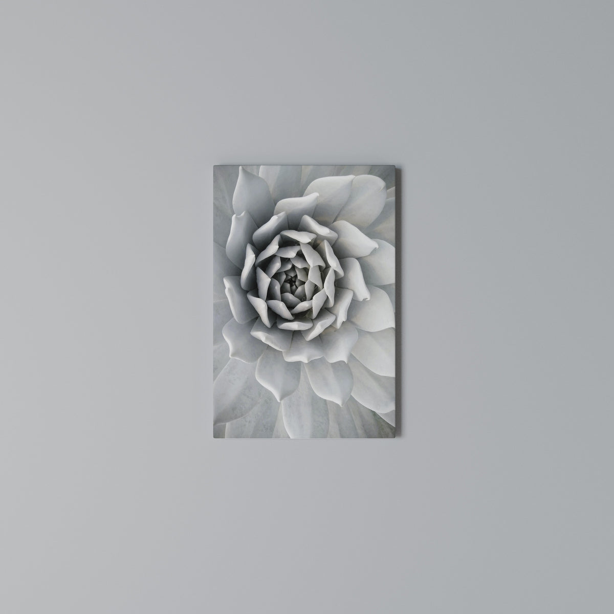 ELEGANT PETAL SWIRL Cuadro en lienzo vertical