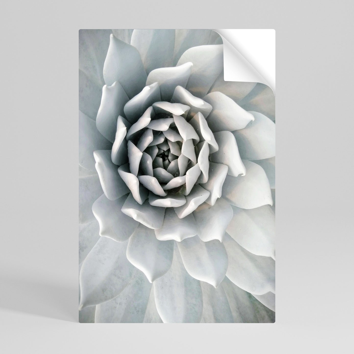 ELEGANT PETAL SWIRL Póster adhesivo vertical