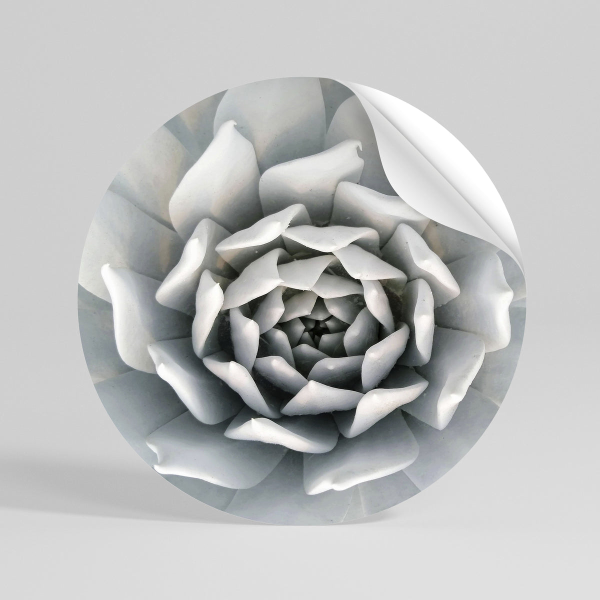 ELEGANT PETAL SWIRL Vinilo adhesivo redondo