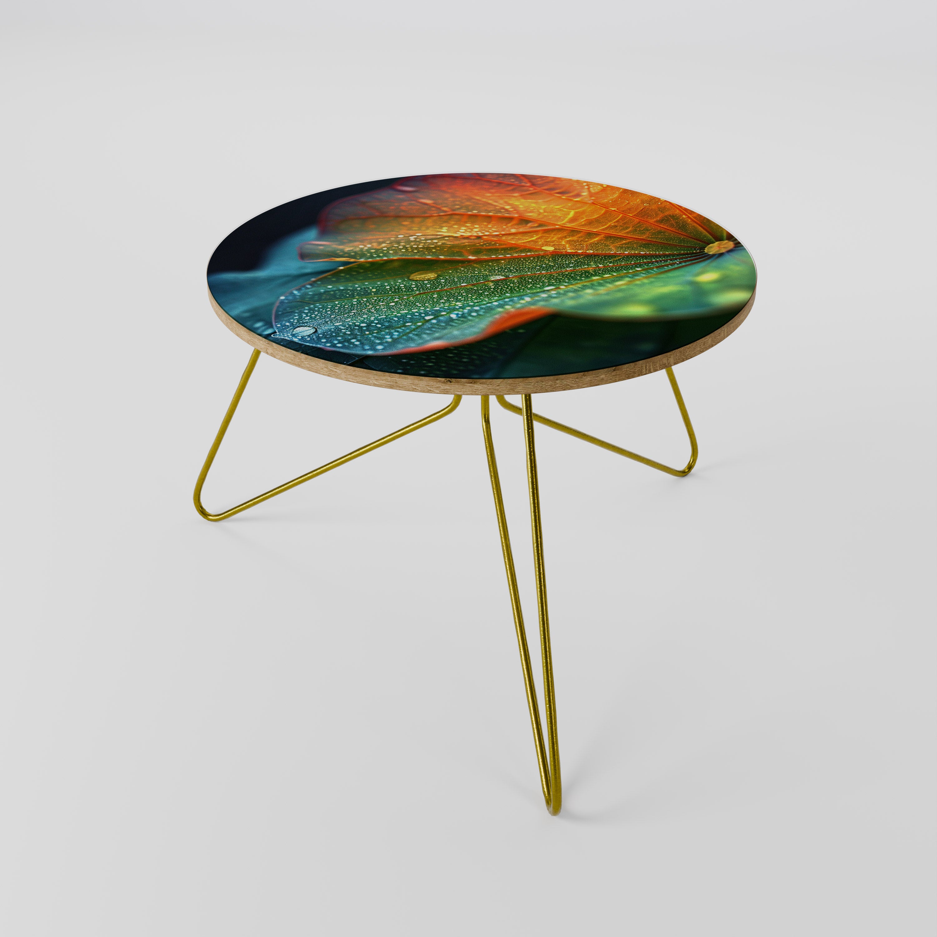 ECHOES OF RAIN Coffee Table 60