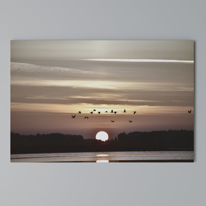 SUNSET FLIGHT SYMPHONY Cuadro en lienzo horizontal