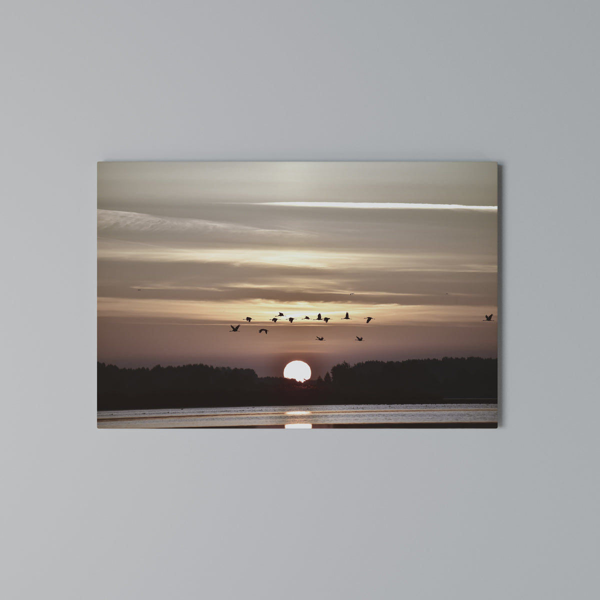 SUNSET FLIGHT SYMPHONY Cuadro en lienzo horizontal