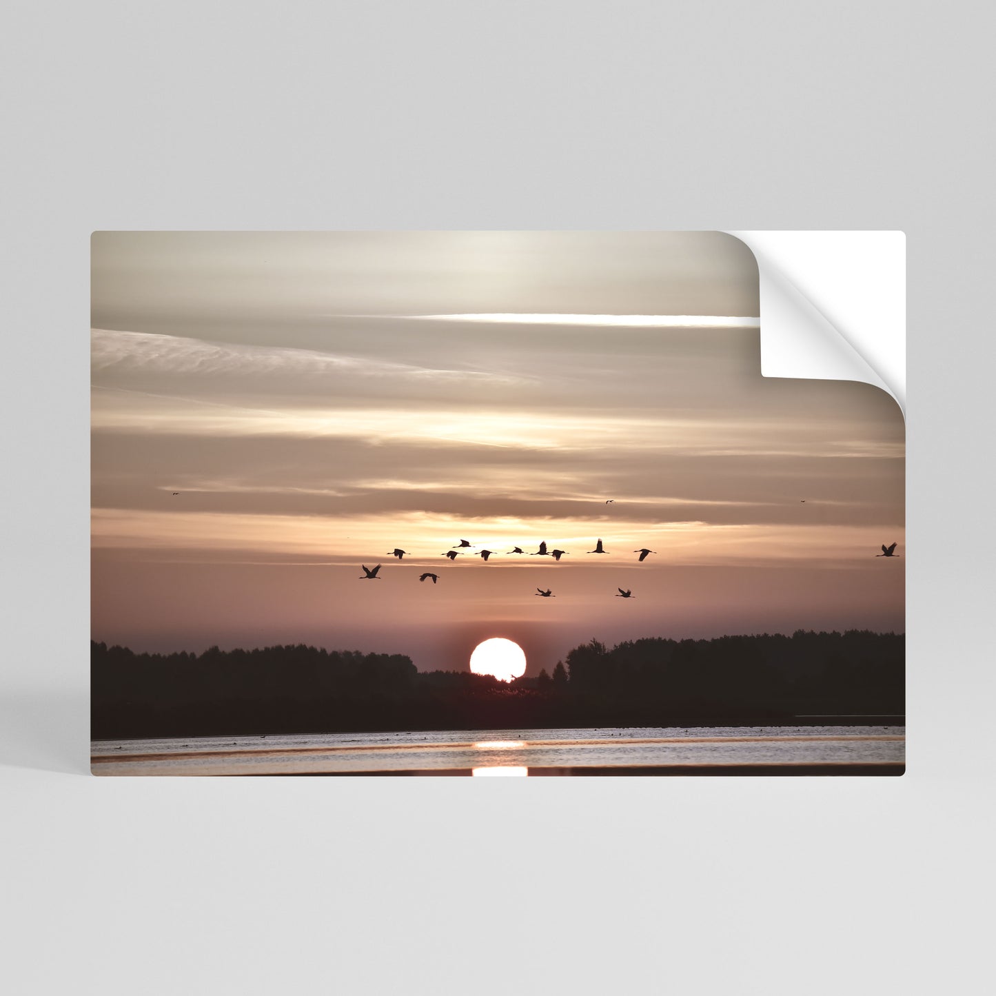 SUNSET FLIGHT SYMPHONY Póster adhesivo horizontal
