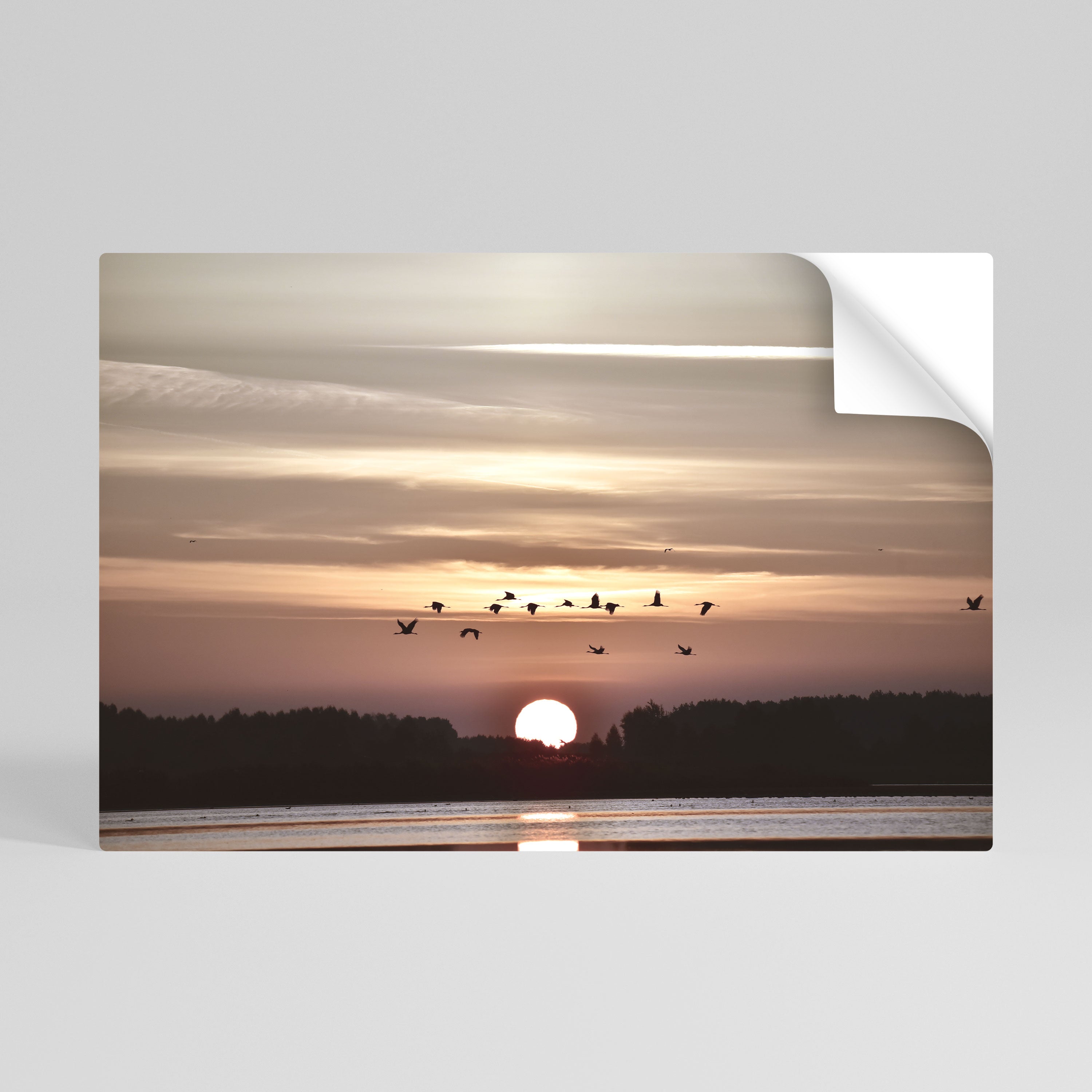 SUNSET FLIGHT SYMPHONY Peel and Stick Horizontal Poster