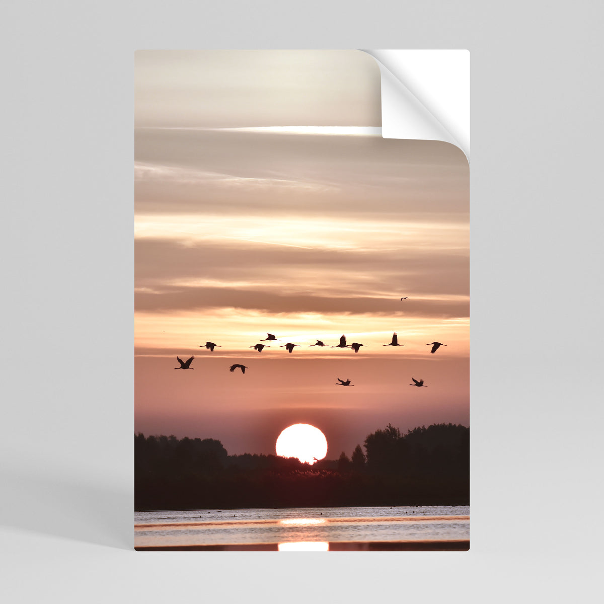 SUNSET FLIGHT SYMPHONY Póster adhesivo vertical