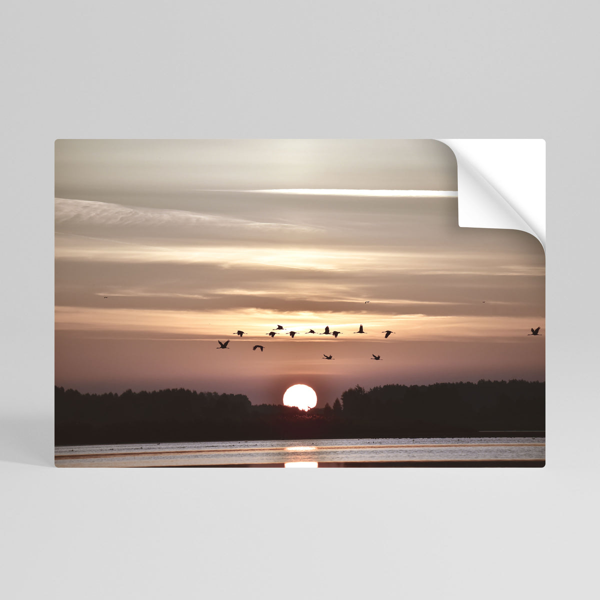 SUNSET FLIGHT SYMPHONY Póster adhesivo horizontal