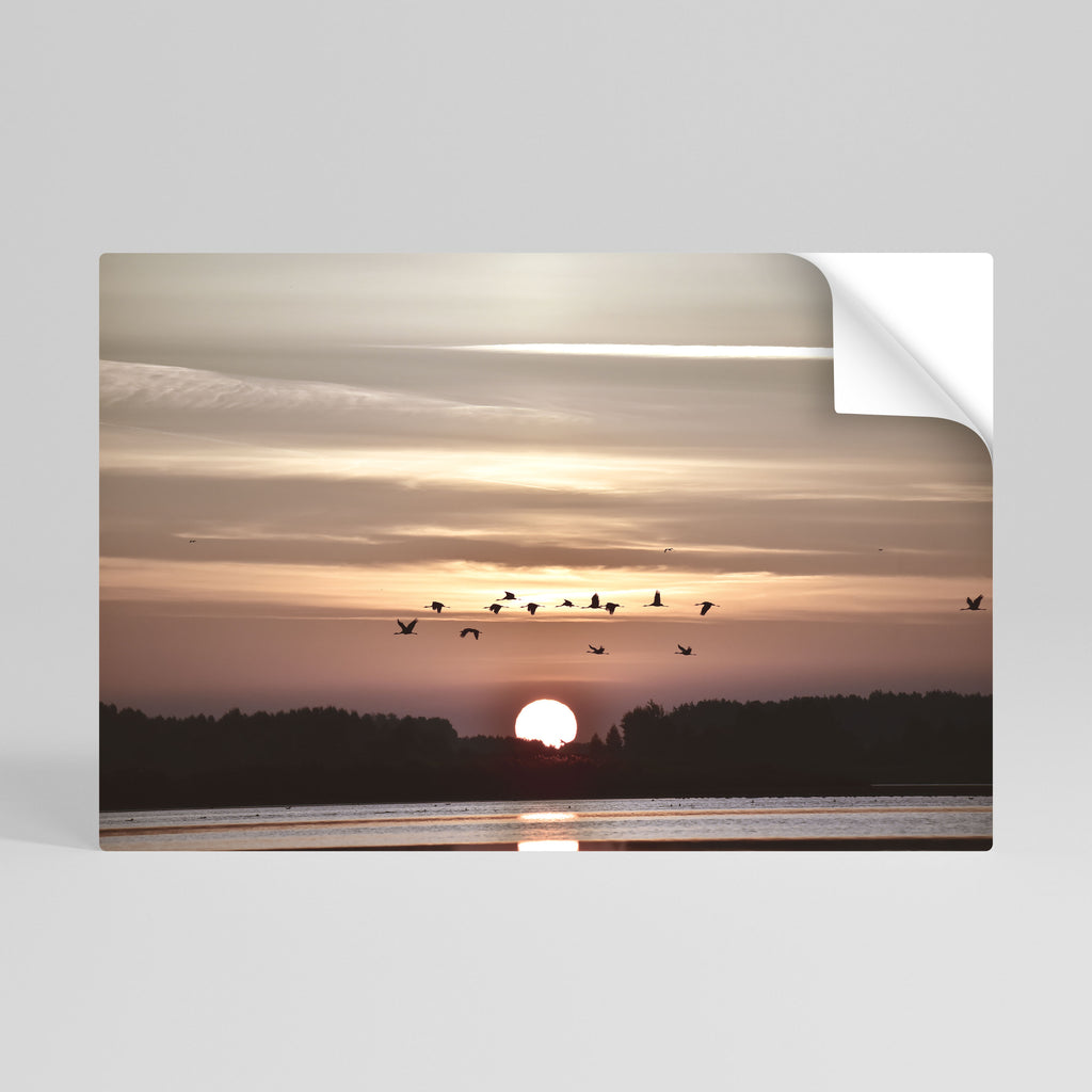 Póster horizontal autoadhesivo SINFONÍA DE VUELO AL ATARDECER
