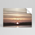 SUNSET FLIGHT SYMPHONY Póster Horizontal Adhesivo