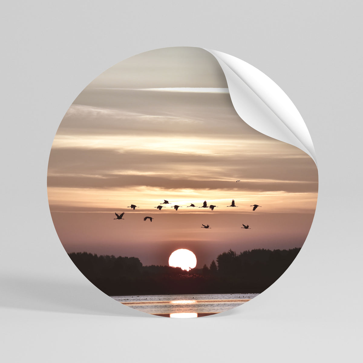 SUNSET FLIGHT SYMPHONY Vinilo adhesivo redondo