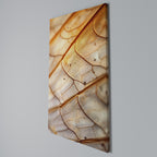 ELEGANT VEINING Cuadro en lienzo vertical