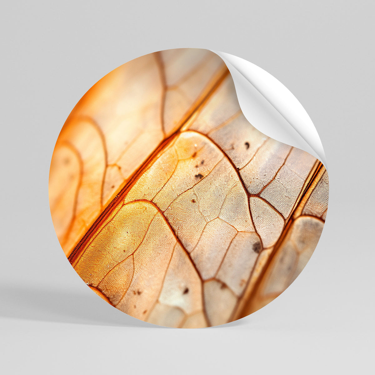 ELEGANT VEINING Vinilo adhesivo redondo