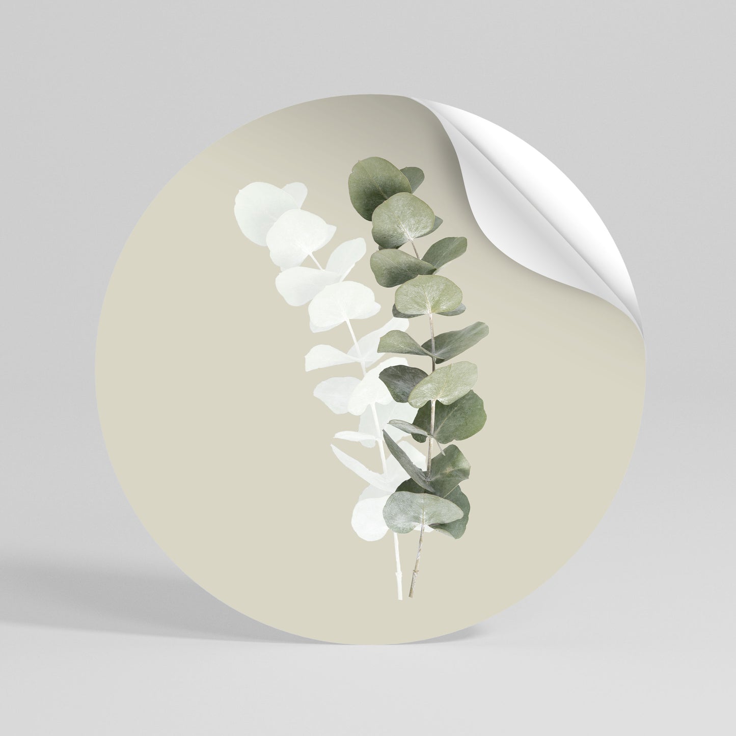 TRANSLUCENT NATURE Vinilo adhesivo redondo
