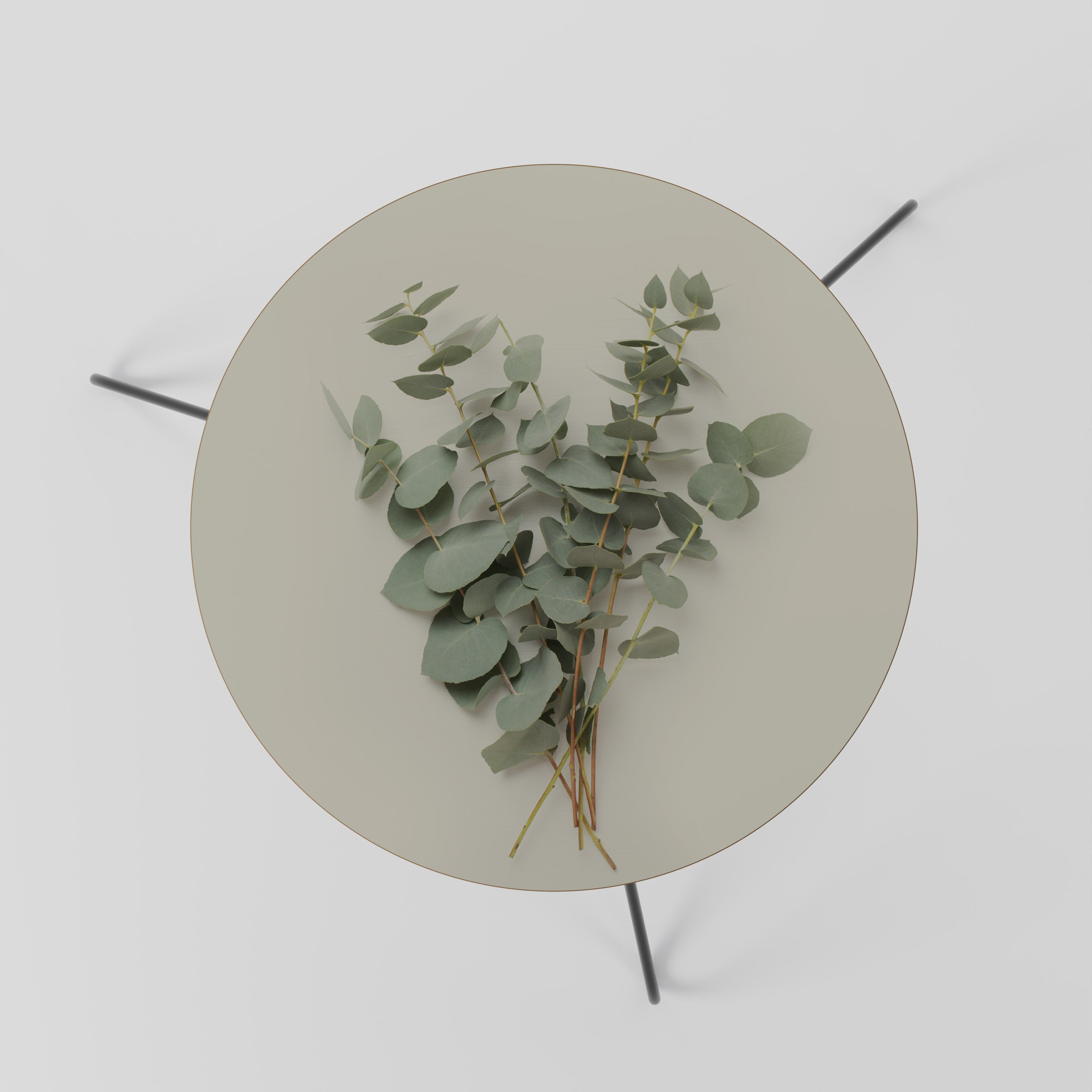 FOLIAGE FANTASIES Coffee Table 60