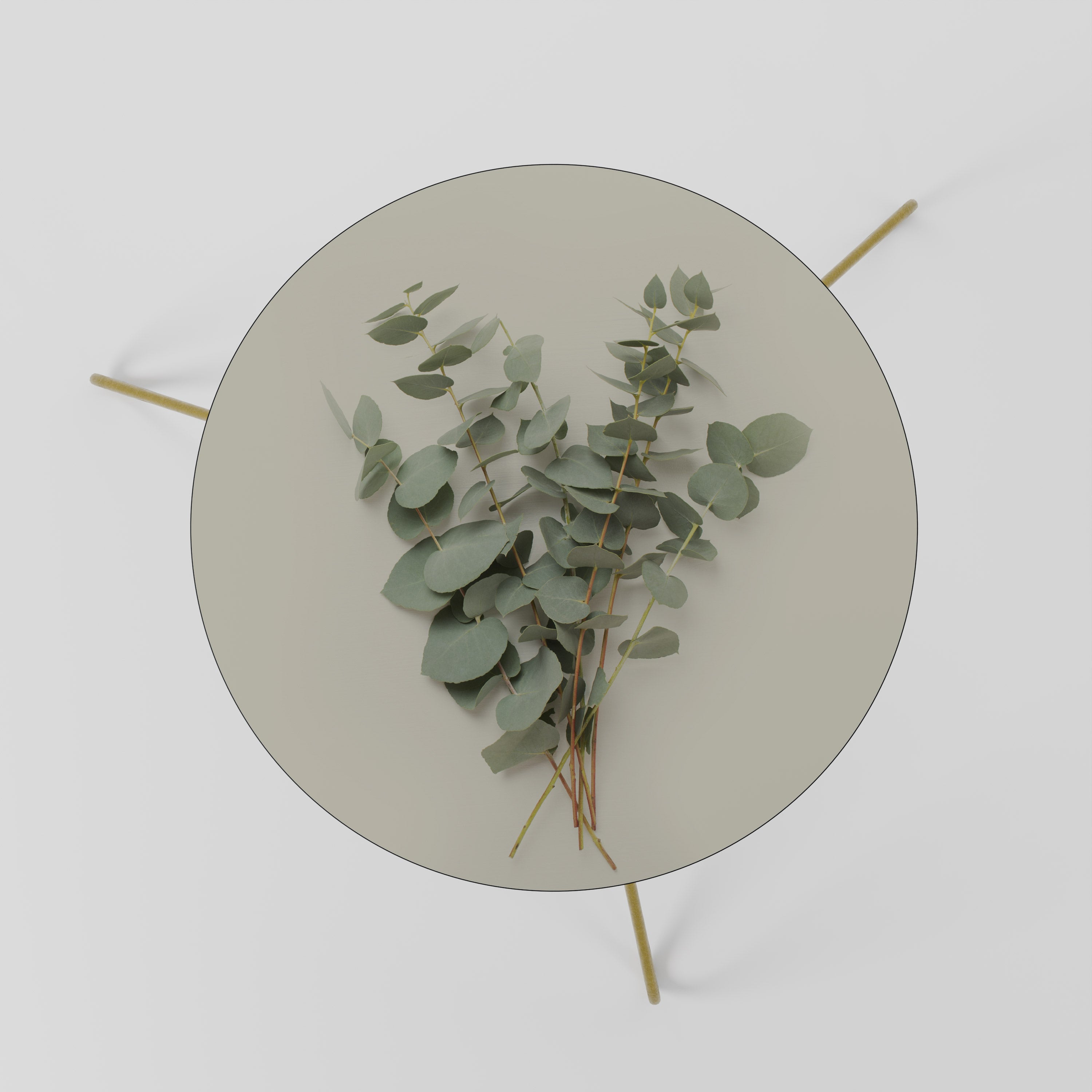 FOLIAGE FANTASIES Coffee Table 60