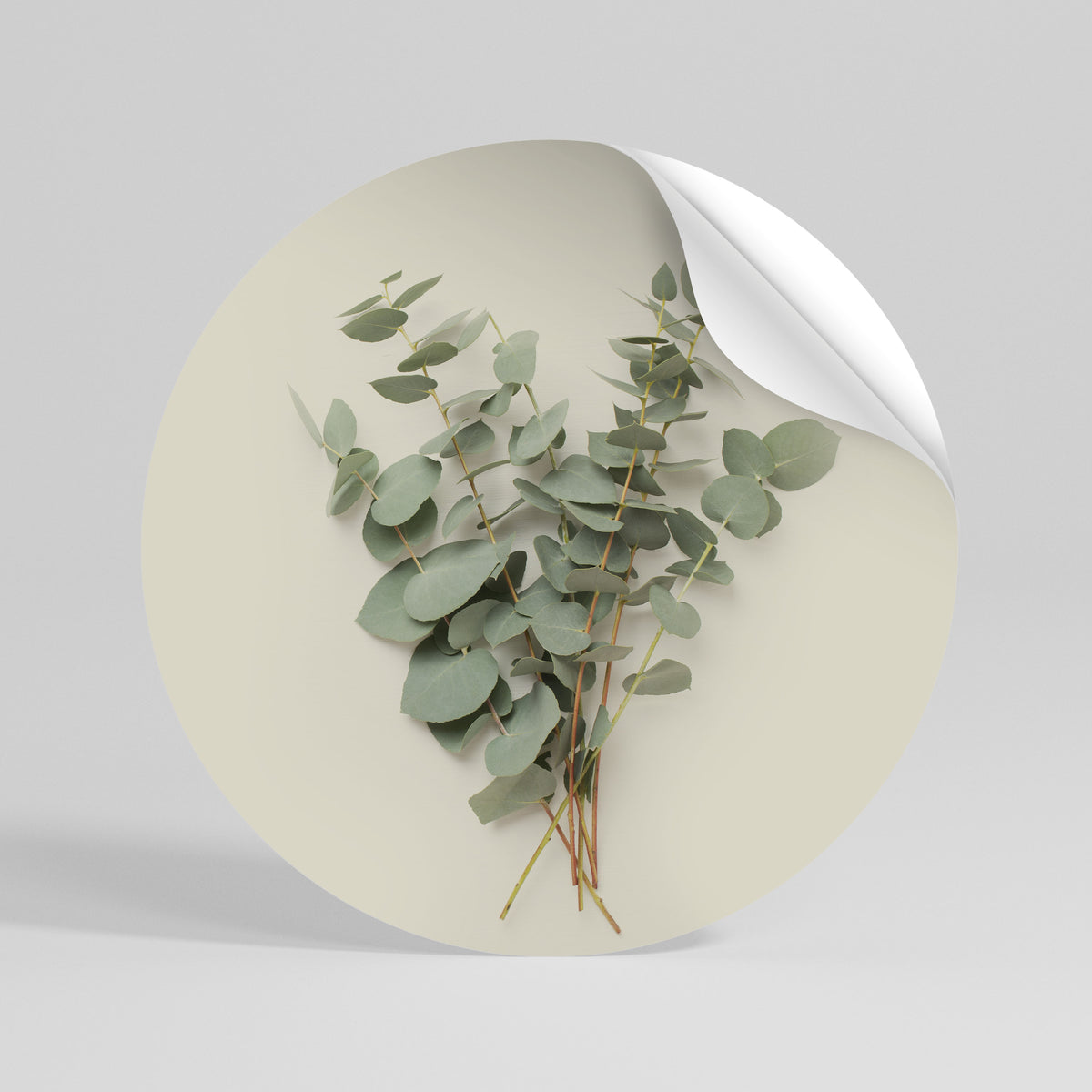 FOLIAGE FANTASIES Vinilo adhesivo redondo
