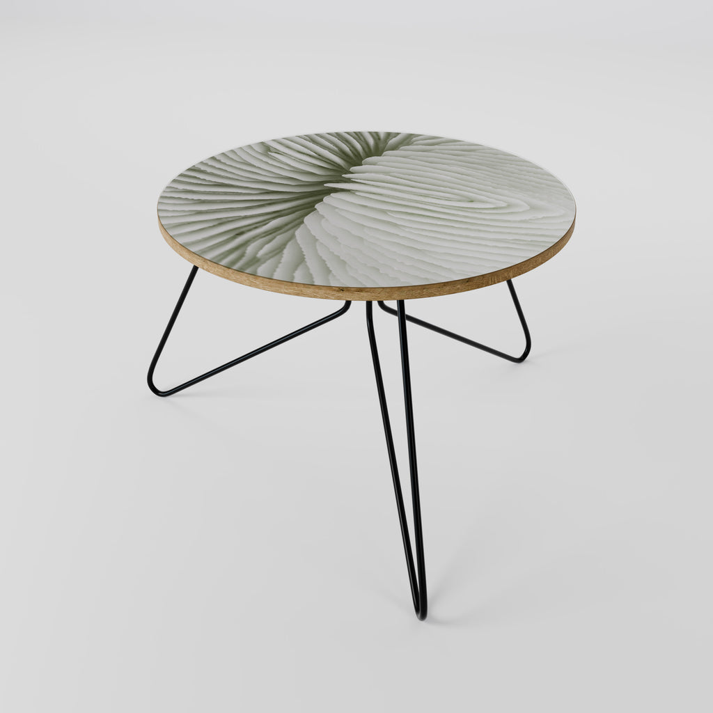 NATURE'S SYMMETRY Coffee Table