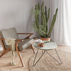 NATURE'S SYMMETRY Coffee Table 60