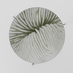 NATURE'S SYMMETRY Coffee Table