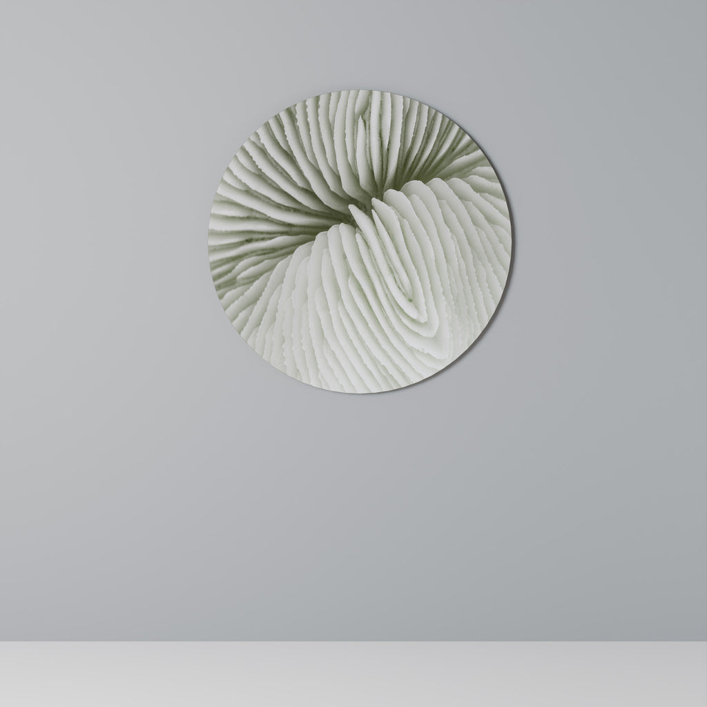 NATURE'S SYMMETRY Round Wall Art