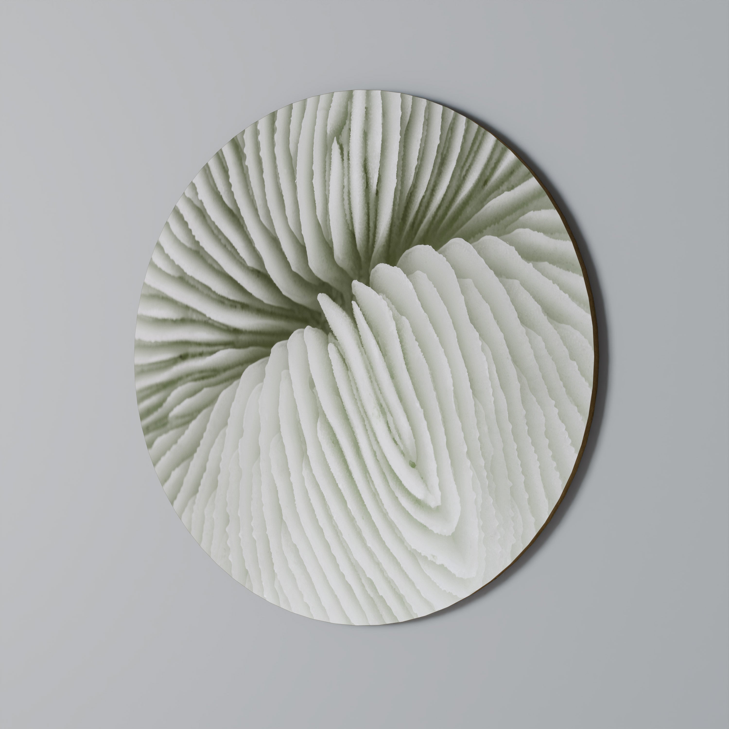 NATURE'S SYMMETRY Round Wall Art