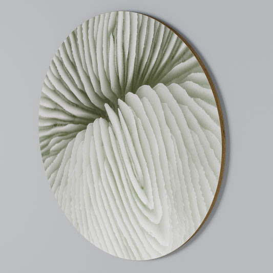 NATURE'S SYMMETRY Arte de pared redondo