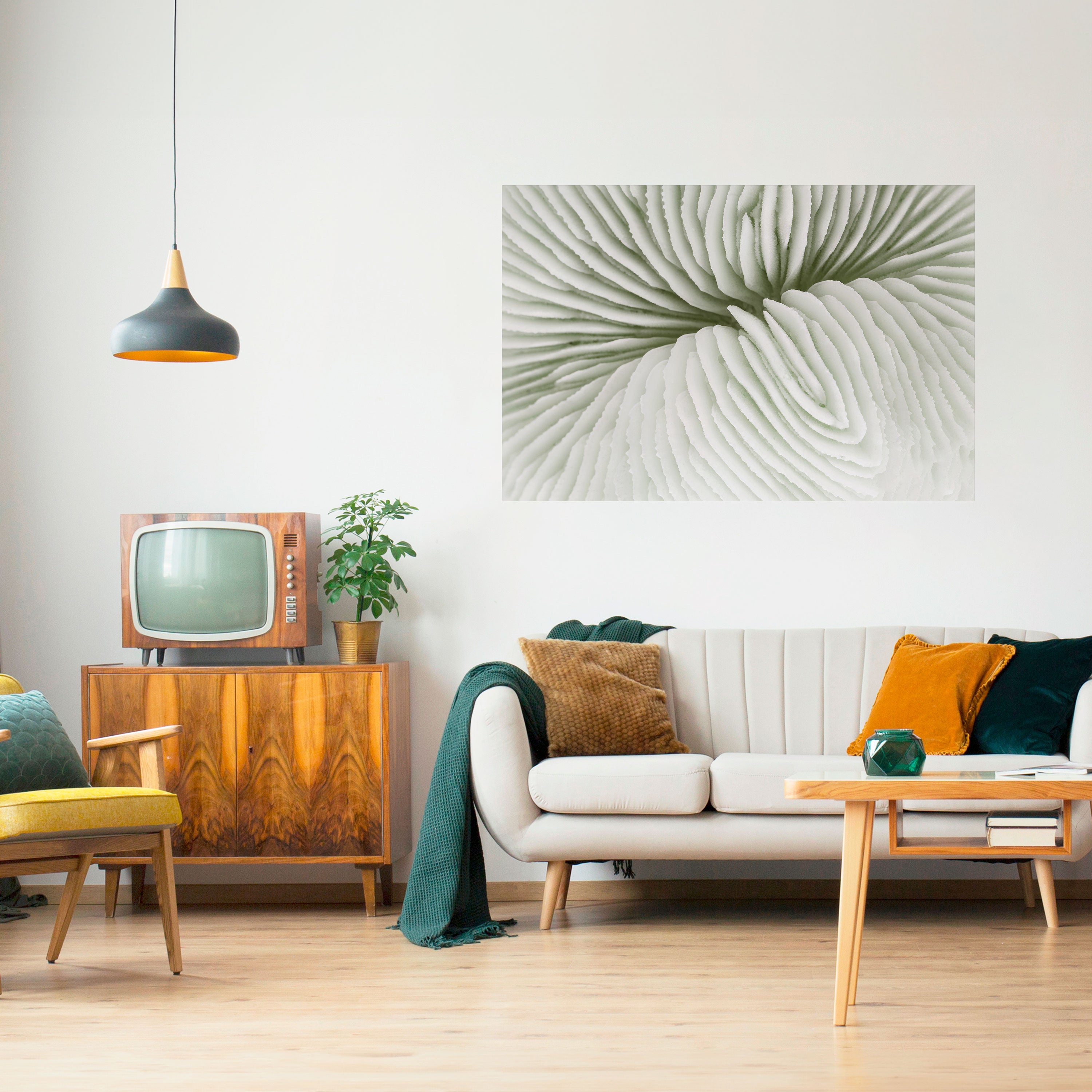 Póster horizontal autoadhesivo SIMETRÍA DE LA NATURALEZA