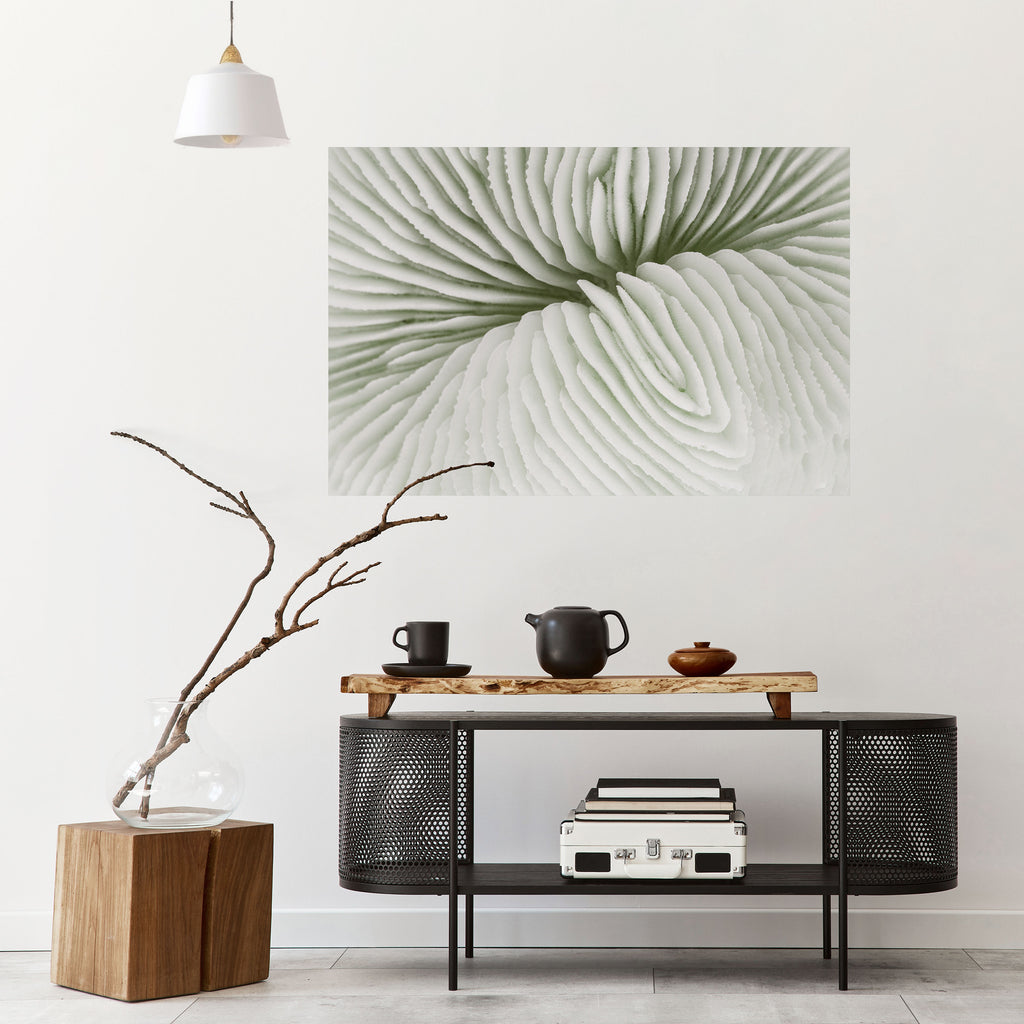 Póster horizontal autoadhesivo SIMETRÍA DE LA NATURALEZA