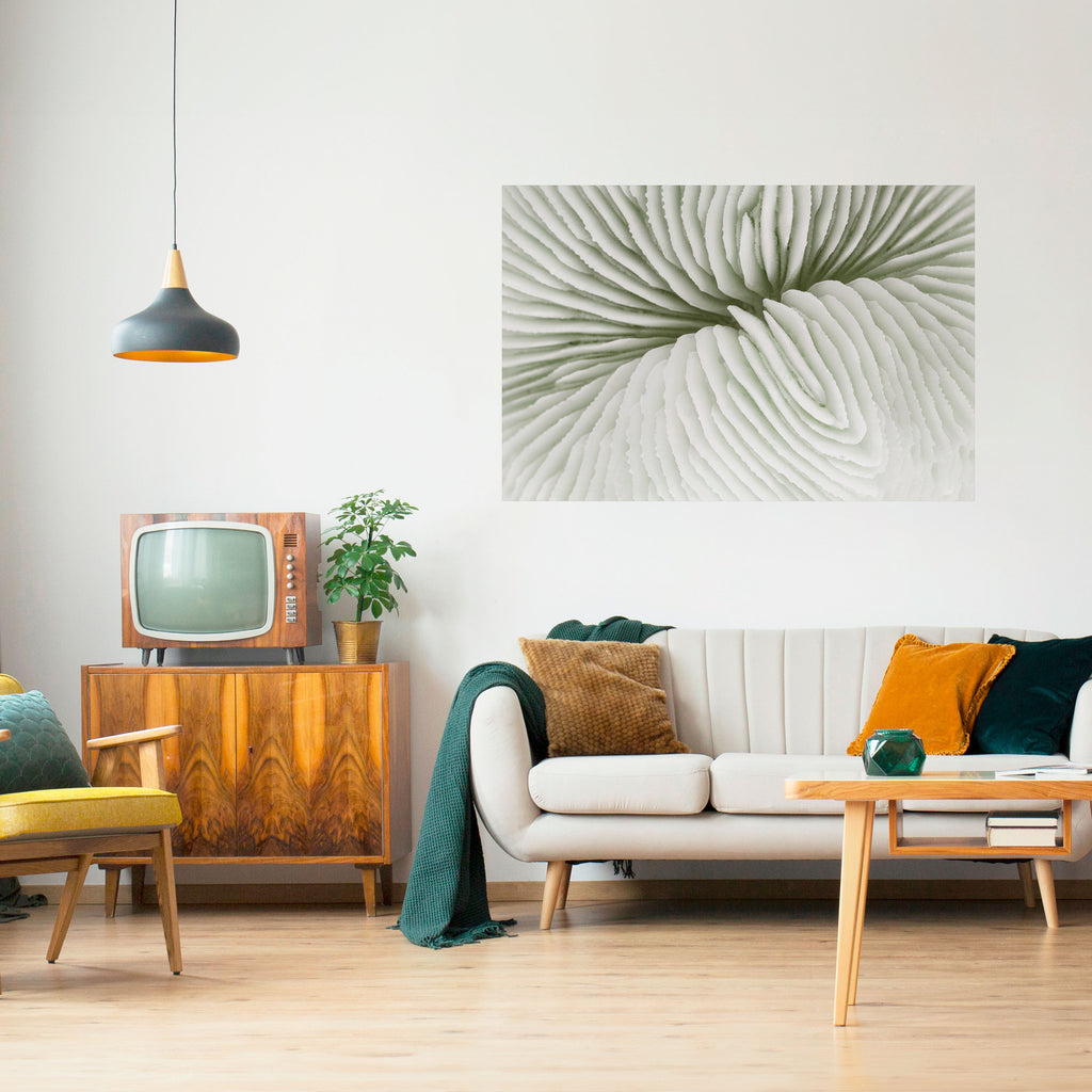 Póster horizontal autoadhesivo SIMETRÍA DE LA NATURALEZA