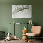 NATURE'S SYMMETRY Peel and Stick Horizontal Poster