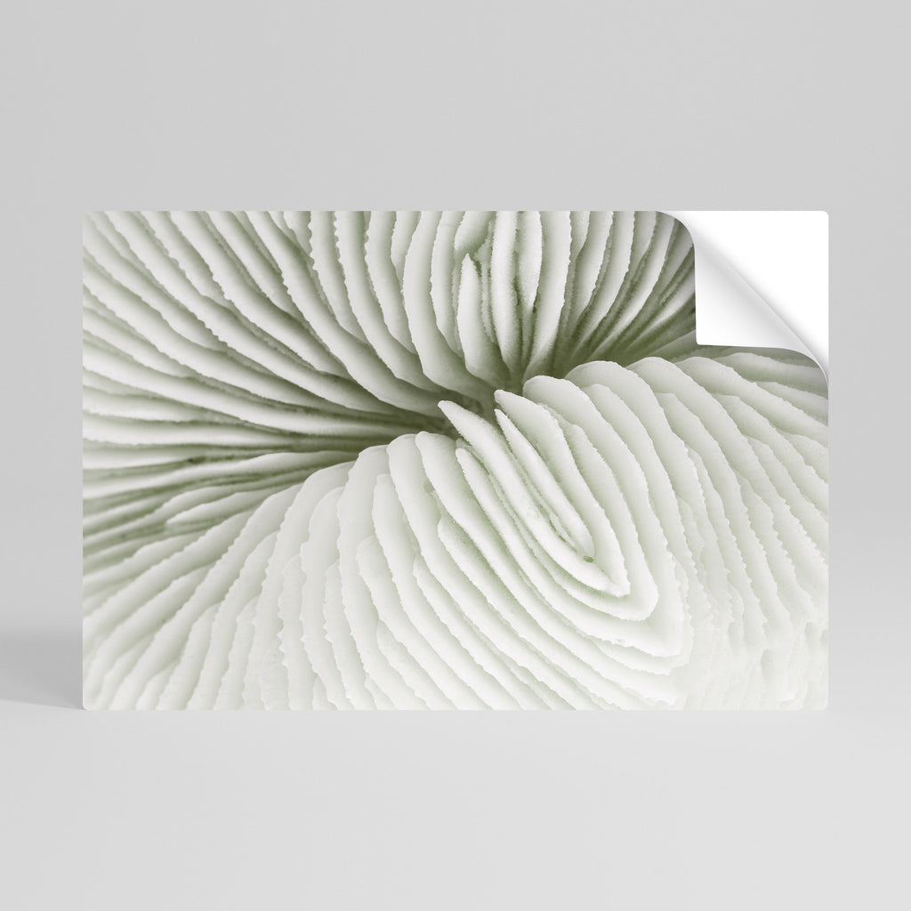 Póster horizontal autoadhesivo SIMETRÍA DE LA NATURALEZA