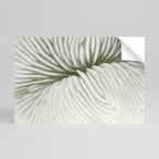 NATURE'S SYMMETRY Peel and Stick Horizontal Poster