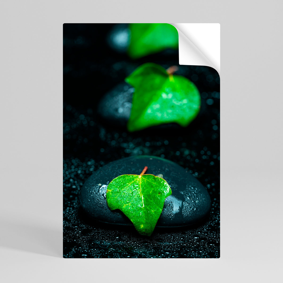 RAINDROPS ON STONE Póster adhesivo vertical