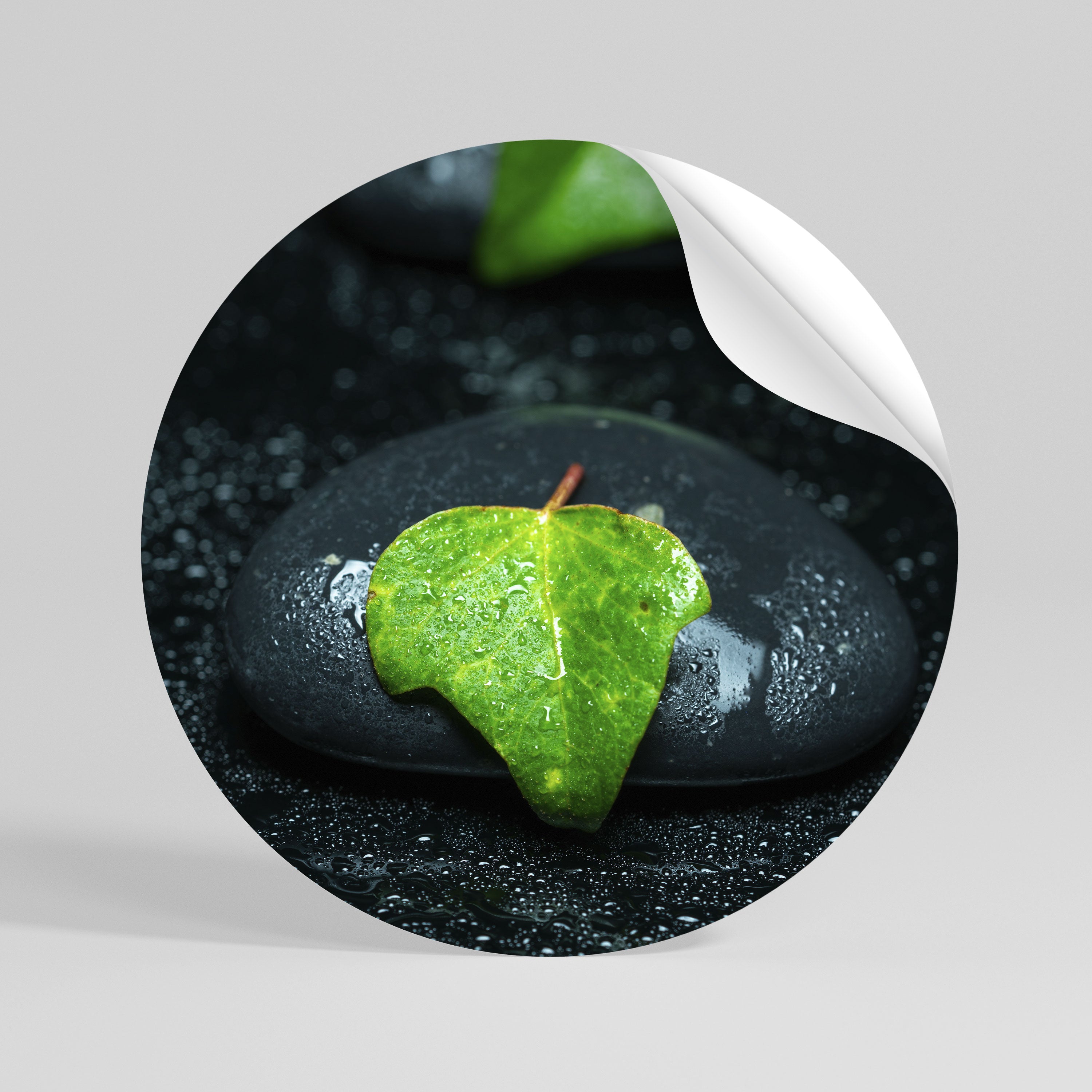 RAINDROPS ON STONE Vinilo adhesivo redondo