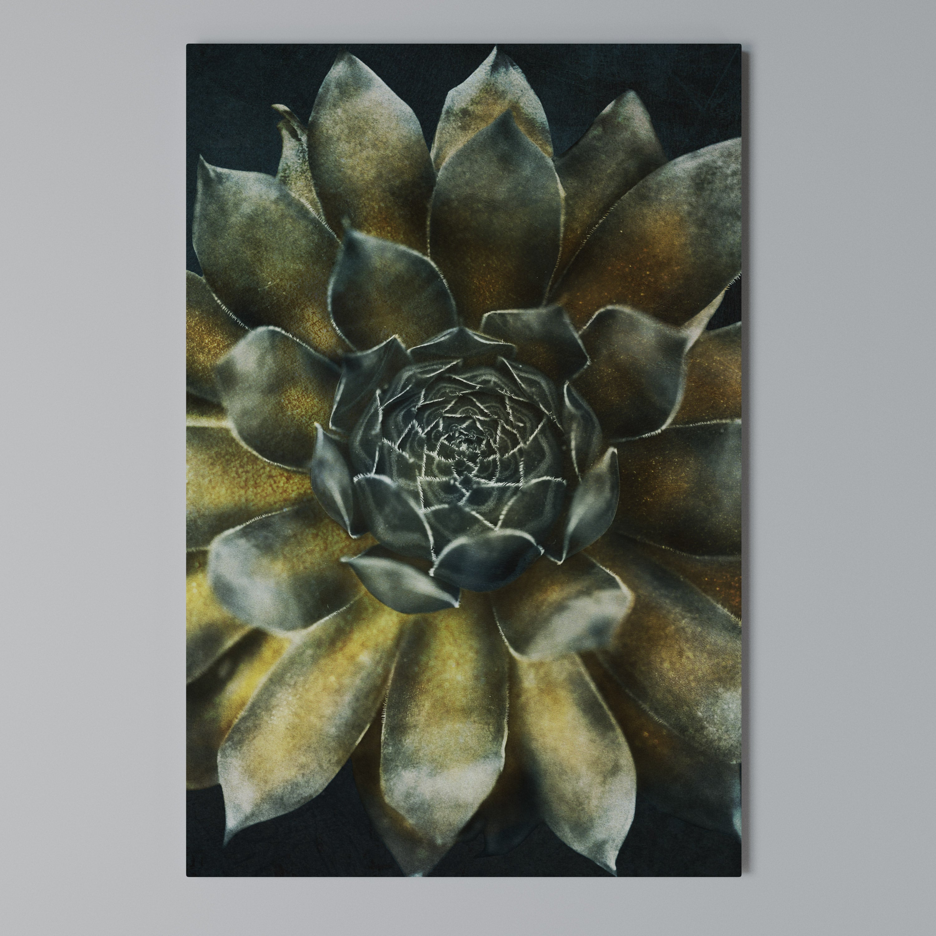 MYSTICAL SUCCULENT WHIRL Cuadro en lienzo vertical