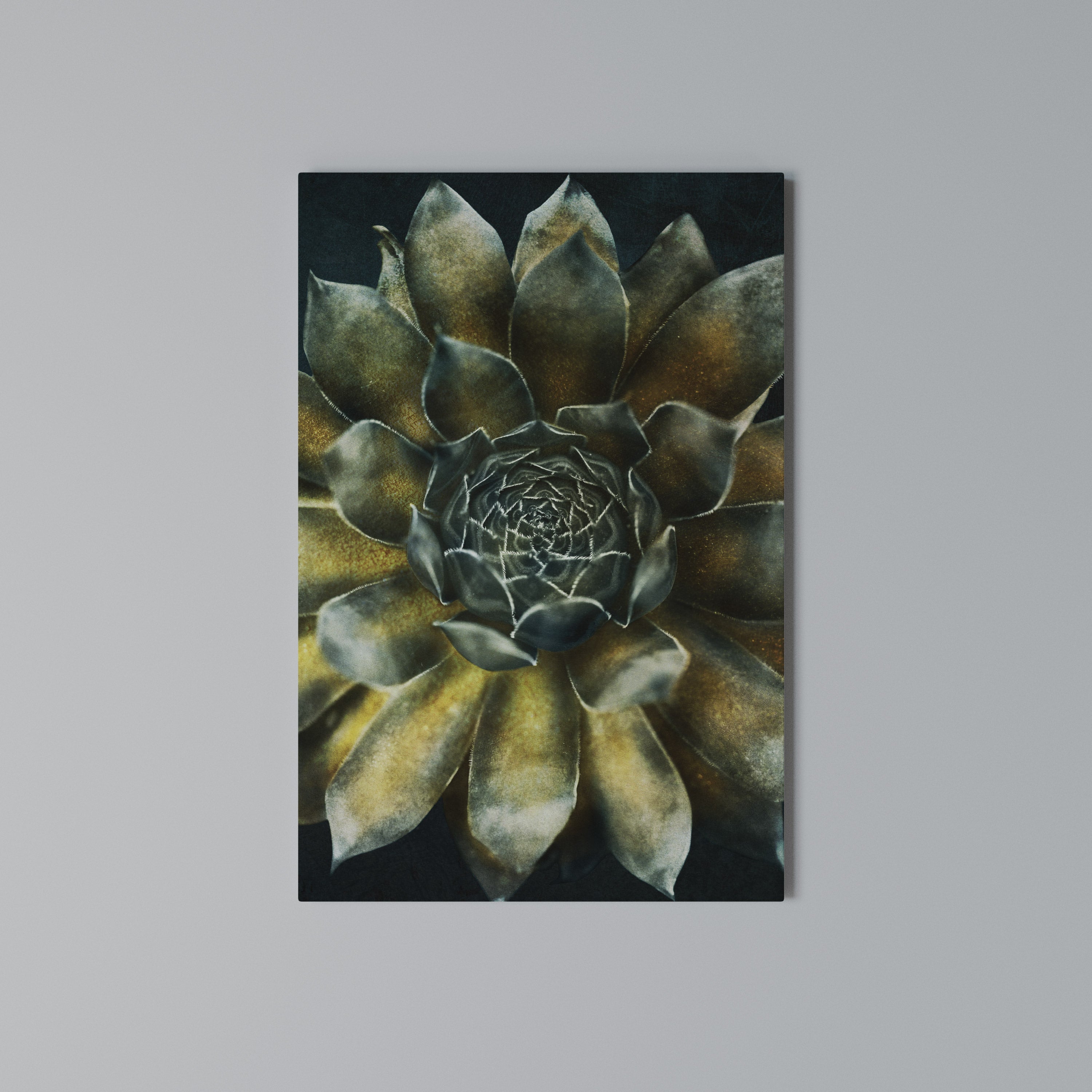 MYSTICAL SUCCULENT WHIRL Cuadro en lienzo vertical