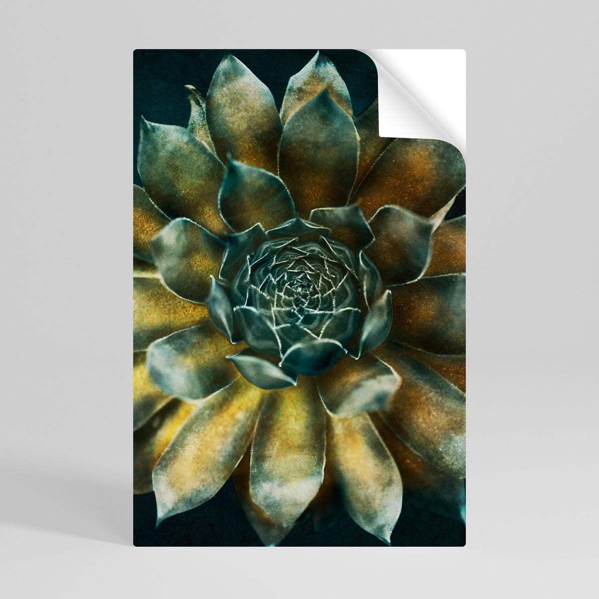 MYSTICAL SUCCULENT WHIRL Póster adhesivo vertical