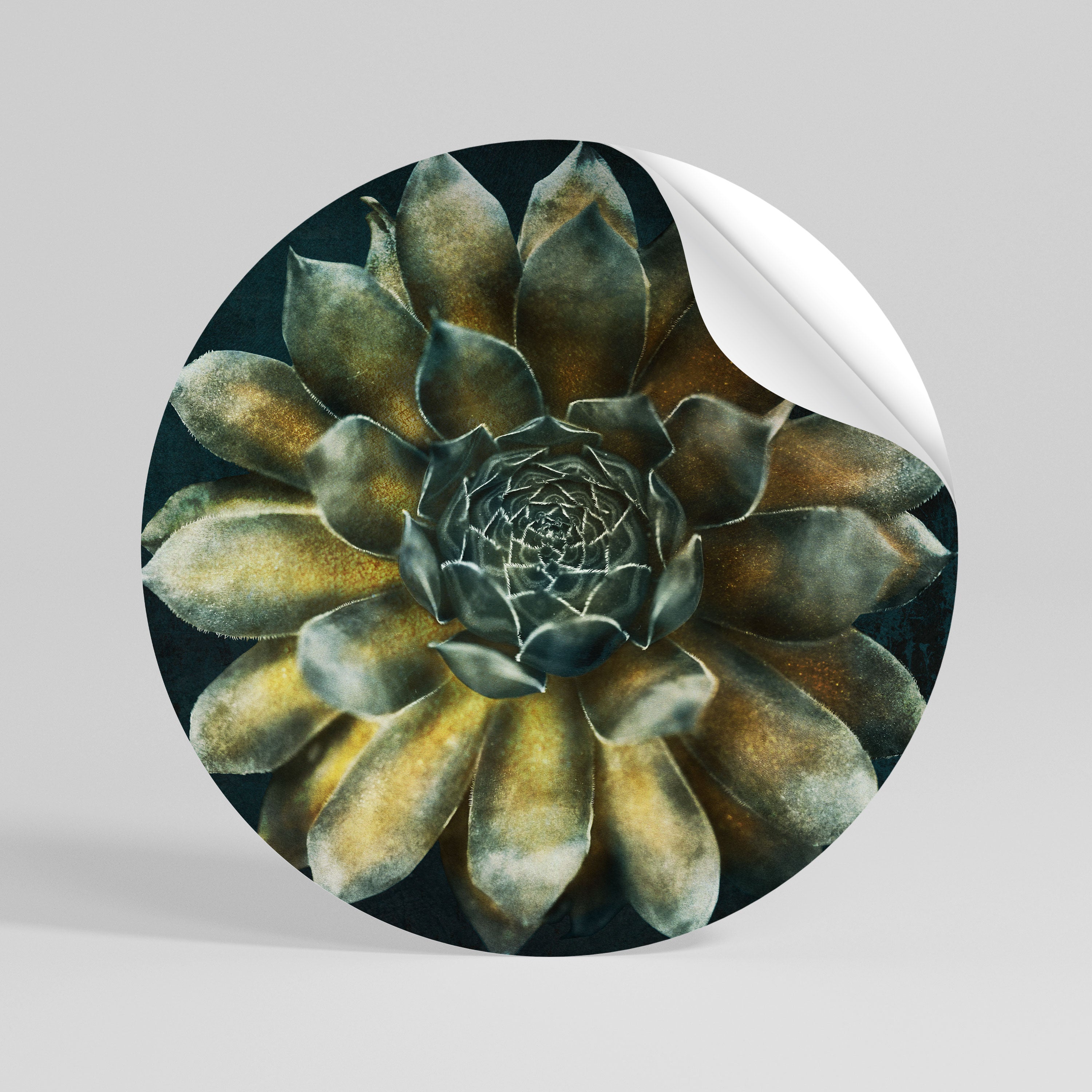 MYSTICAL SUCCULENT WHIRL Vinilo adhesivo redondo