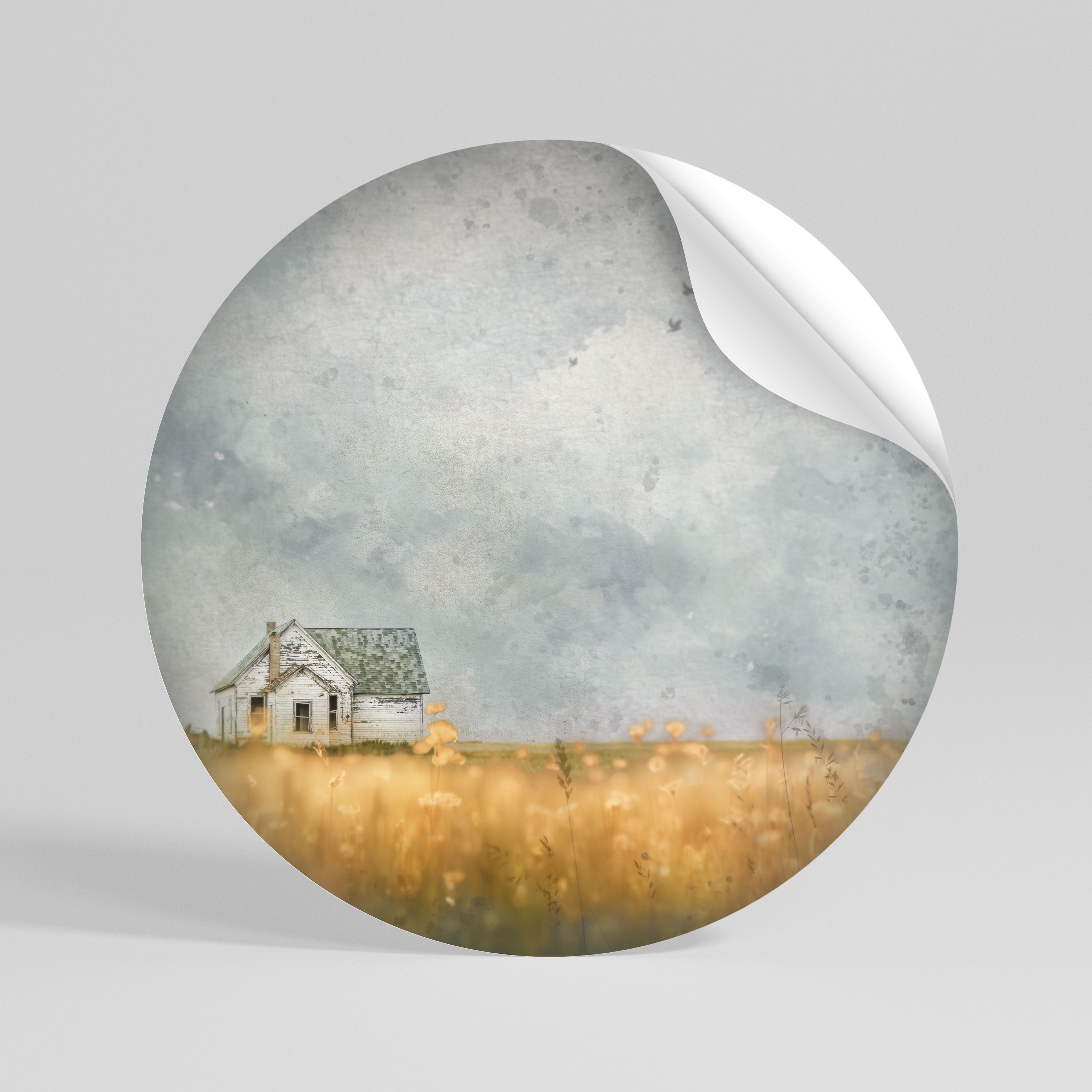 FIELDS OF FADING LIGHT Vinilo adhesivo redondo